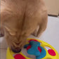Interactive Dog Puzzle Toy – Slow Feeder Plate for Puppies