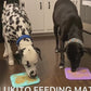 LUKITO Lick Mat for Dogs & Cats – Slow Feeder with Suction Cups